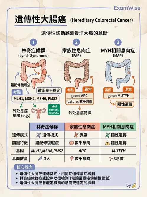 醫檢師 - 消化肝膽疾病 - AI 圖文解析預覽