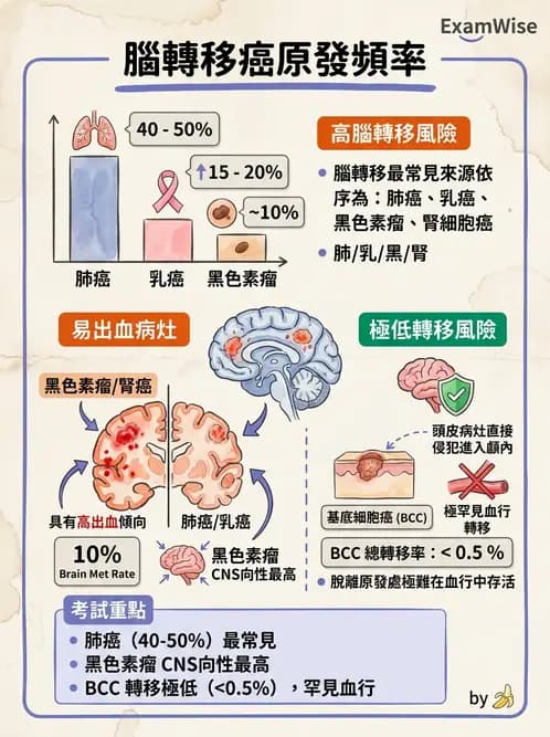 醫檢師 - 腫瘤概論 - AI 圖文解析預覽