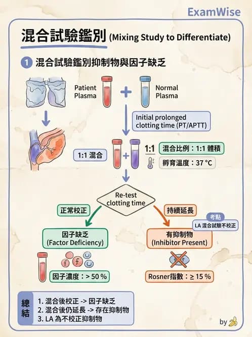 醫檢師 - 凝血因子與凝血檢驗 - AI 圖文解析預覽