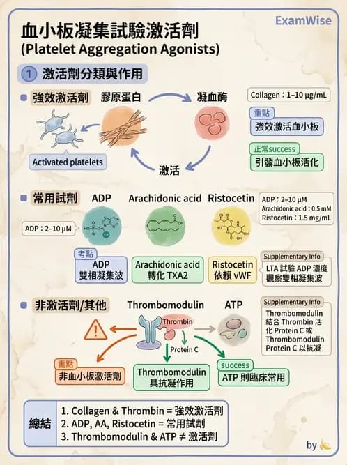 醫檢師 - 血小板與止血生理 - AI 圖文解析預覽