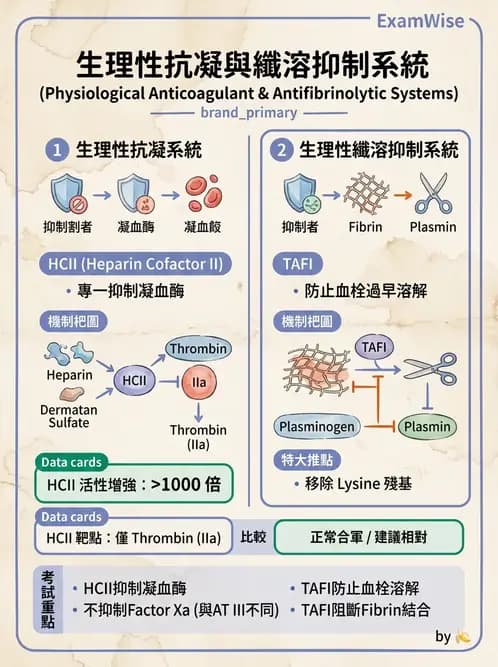 醫檢師 - 凝血因子與凝血檢驗 - AI 圖文解析預覽