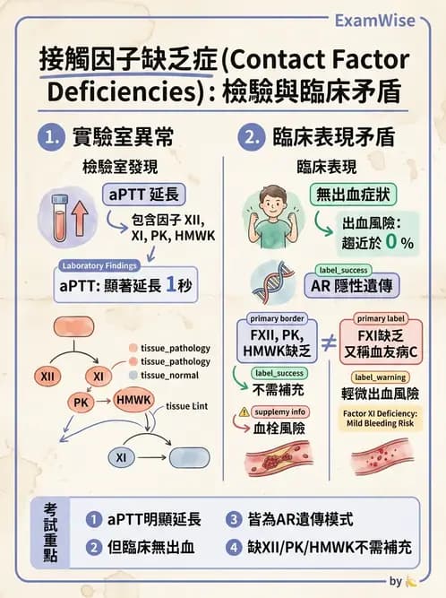 醫檢師 - 出血性疾病與檢驗 - AI 圖文解析預覽