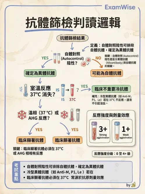 醫檢師 - 血液成分製備與輸血檢查 - AI 圖文解析預覽