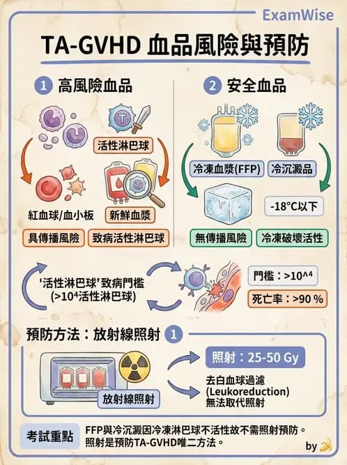 醫檢師 - 輸血反應與血庫品管 - AI 圖文解析預覽