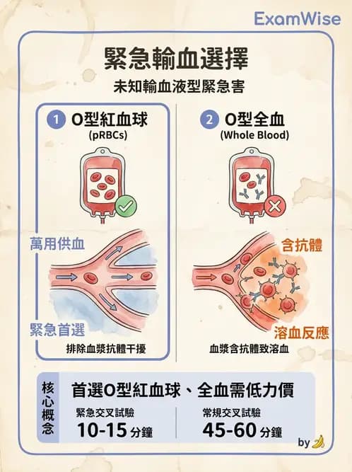 醫檢師 - 血液成分製備與輸血檢查 - AI 圖文解析預覽