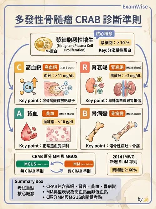 醫檢師 - 淋巴瘤、漿細胞疾病與白血球異常 - AI 圖文解析預覽