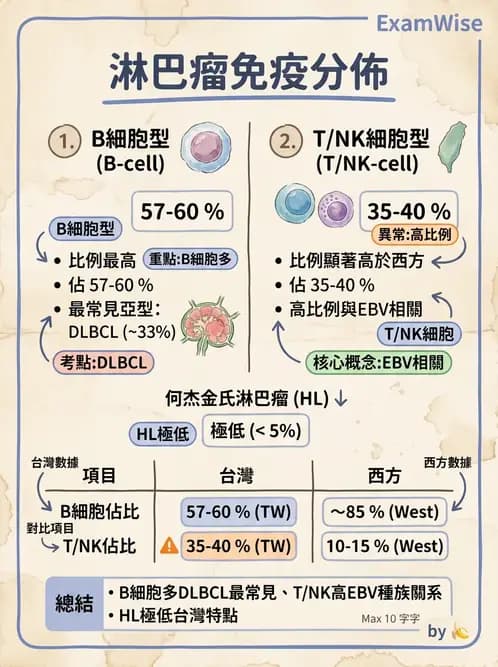 醫檢師 - 淋巴瘤、漿細胞疾病與白血球異常 - AI 圖文解析預覽