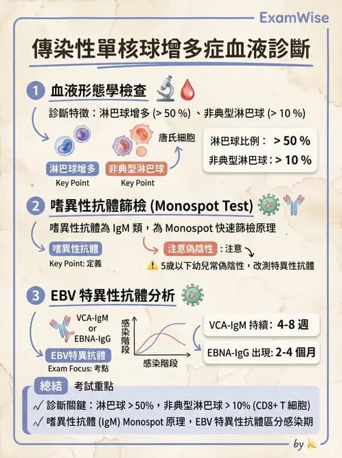 醫檢師 - 淋巴瘤、漿細胞疾病與白血球異常 - AI 圖文解析預覽