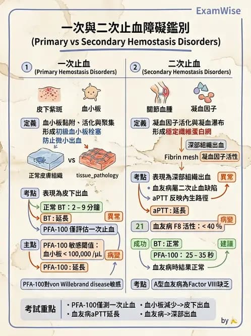 醫檢師 - 出血性疾病與檢驗 - AI 圖文解析預覽