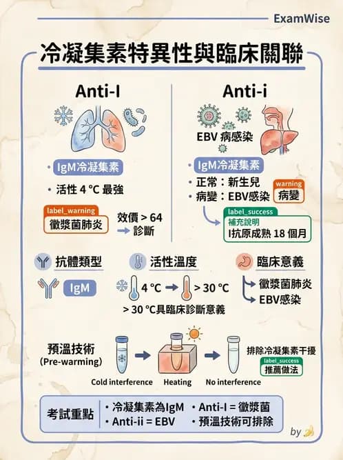 醫檢師 - 紅血球抗原與血型系統 - AI 圖文解析預覽