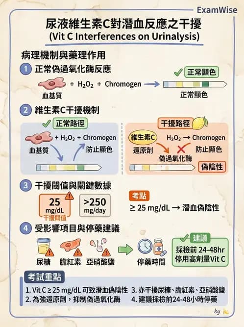 醫檢師 - 尿液化學檢驗 - AI 圖文解析預覽