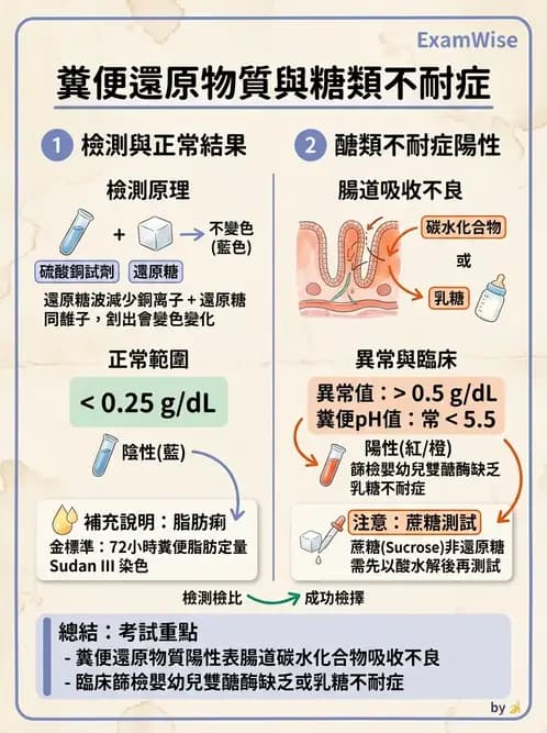 醫檢師 - 糞便常規檢查 - AI 圖文解析預覽