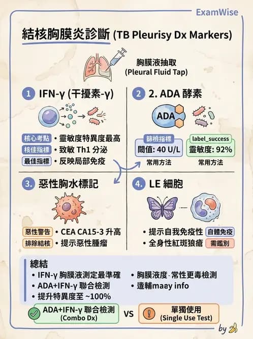 醫檢師 - 穿刺液檢查 - AI 圖文解析預覽