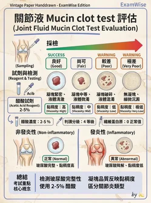 醫檢師 - 滑膜液檢查 - AI 圖文解析預覽