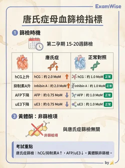 醫檢師 - 懷孕試驗 - AI 圖文解析預覽