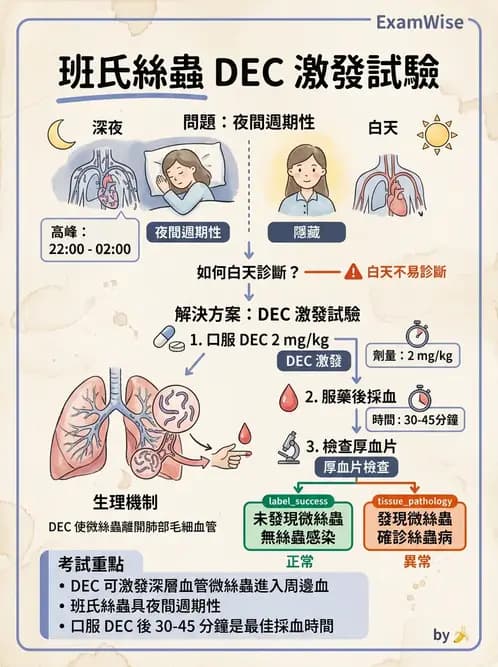 醫檢師 - 寄生蟲檢查-蠕蟲類 - AI 圖文解析預覽