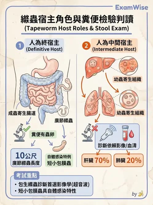 醫檢師 - 寄生蟲檢查-蠕蟲類 - AI 圖文解析預覽
