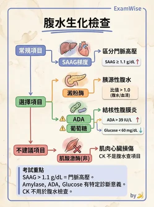 醫檢師 - 穿刺液檢查 - AI 圖文解析預覽