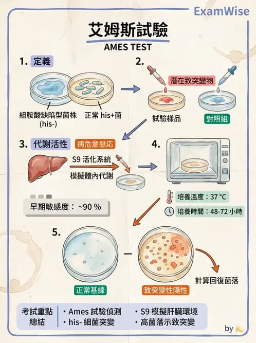 醫檢師 - 基礎分子生物學 - AI 圖文解析預覽