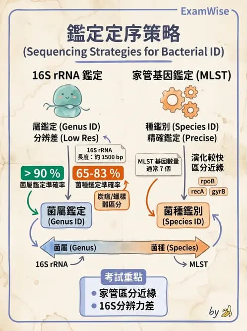 醫檢師 - 分子鑑定與應用技術 - AI 圖文解析預覽