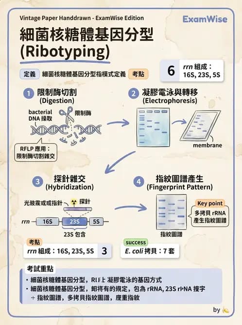 醫檢師 - 分子鑑定與應用技術 - AI 圖文解析預覽