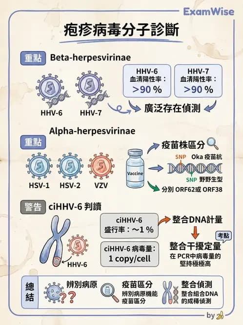 醫檢師 - 感染症分子檢驗 - AI 圖文解析預覽