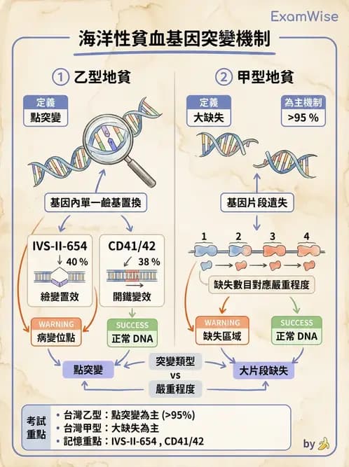 醫檢師 - 遺傳疾病基因檢測 - AI 圖文解析預覽