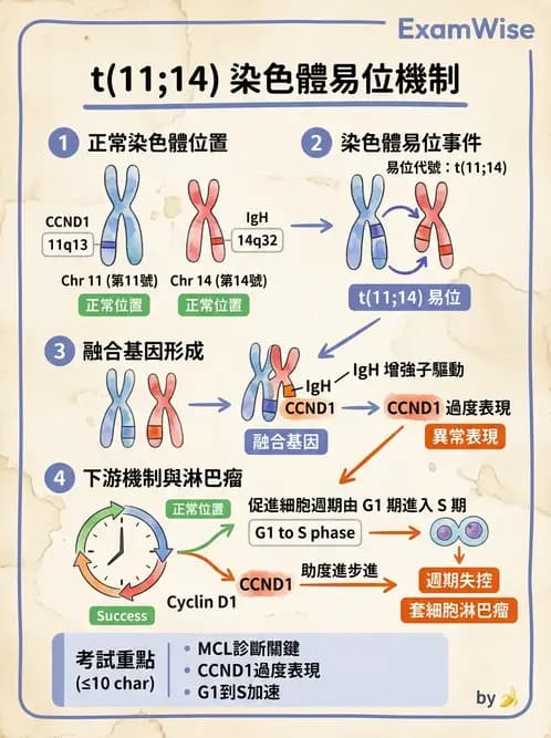 醫檢師 - 腫瘤疾病基因檢測 - AI 圖文解析預覽
