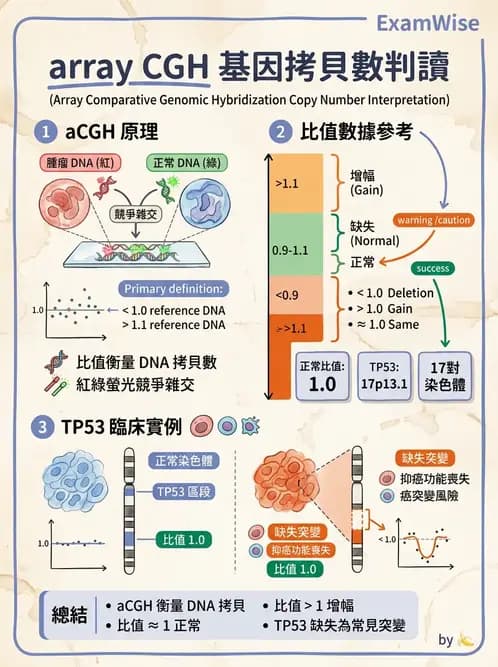 醫檢師 - 腫瘤疾病基因檢測 - AI 圖文解析預覽