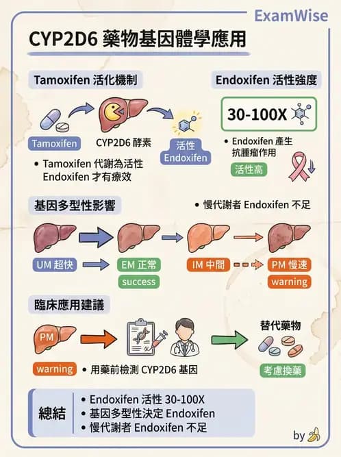 醫檢師 - 藥物相關基因檢測 - AI 圖文解析預覽