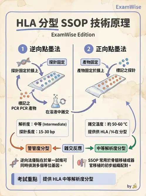 醫檢師 - 分子鑑定與應用技術 - AI 圖文解析預覽