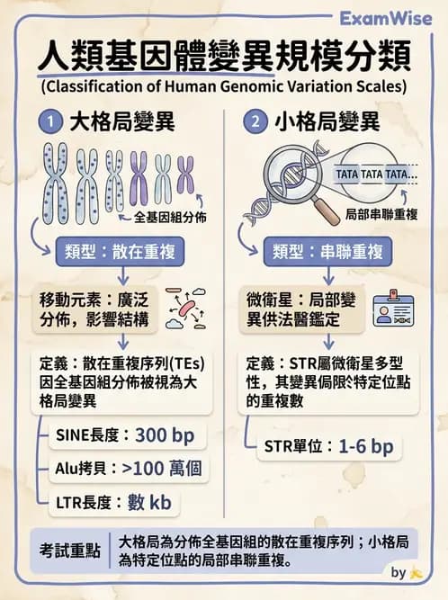 醫檢師 - 基礎分子生物學 - AI 圖文解析預覽