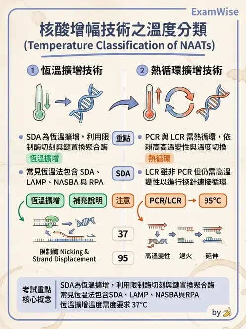 醫檢師 - 核酸擴增與萃取技術 - AI 圖文解析預覽