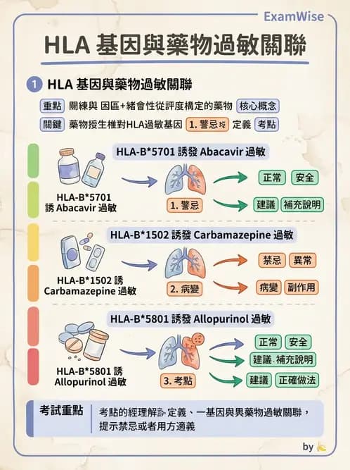 醫檢師 - 藥物相關基因檢測 - AI 圖文解析預覽