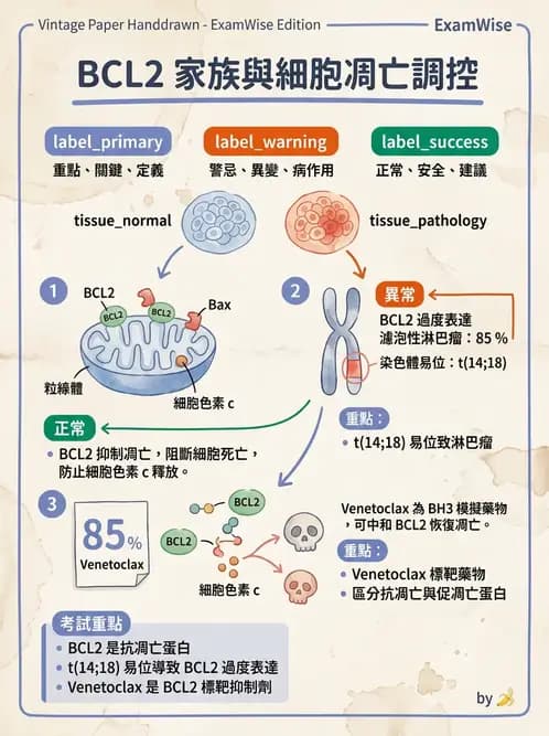 醫檢師 - 腫瘤疾病基因檢測 - AI 圖文解析預覽