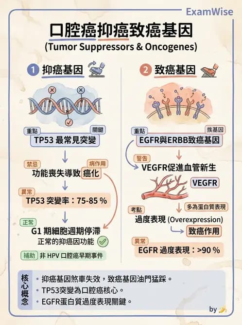 醫檢師 - 腫瘤疾病基因檢測 - AI 圖文解析預覽