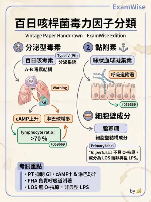醫檢師 - 奈瑟菌與挑剔性革蘭氏陰性菌 - AI 圖文解析預覽