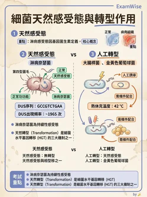 醫檢師 - 實驗室安全與微生物特性 - AI 圖文解析預覽