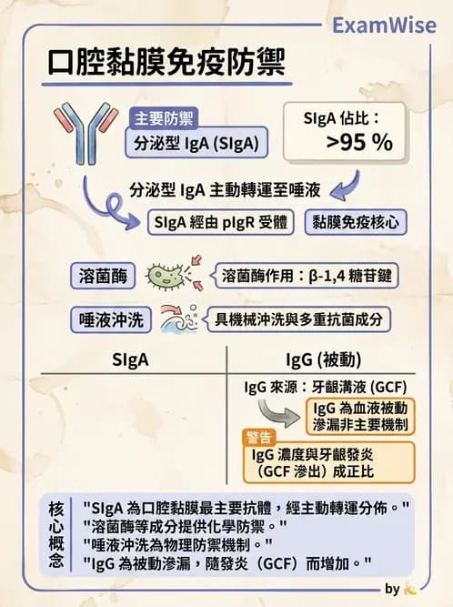 醫檢師 - 實驗室安全與微生物特性 - AI 圖文解析預覽
