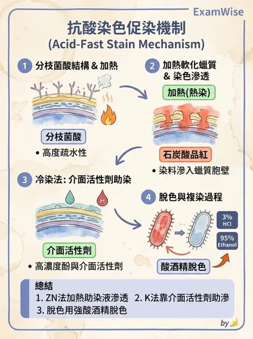 醫檢師 - 檢驗基礎技術 - AI 圖文解析預覽
