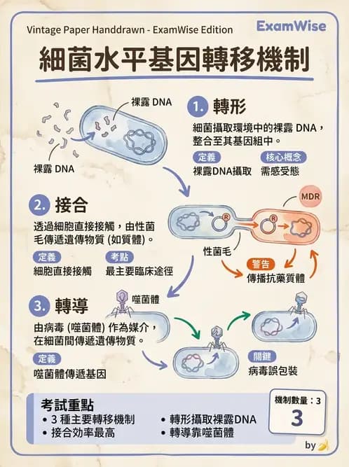 醫檢師 - 抗藥性機制 - AI 圖文解析預覽