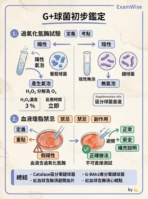 醫檢師 - 檢驗基礎技術 - AI 圖文解析預覽