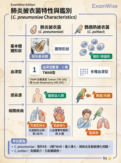 醫檢師 - 特殊病原體 - AI 圖文解析預覽