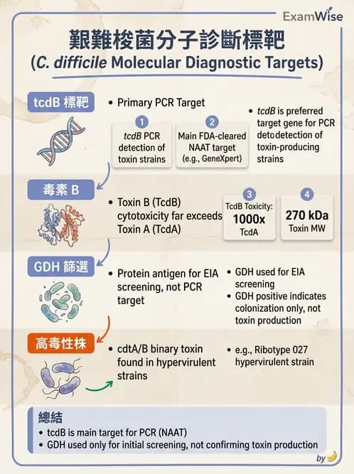 醫檢師 - 厭氧菌 - AI 圖文解析預覽