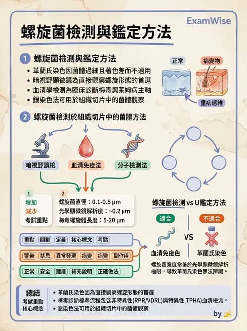 醫檢師 - 特殊病原體 - AI 圖文解析預覽