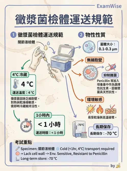 醫檢師 - 特殊病原體 - AI 圖文解析預覽