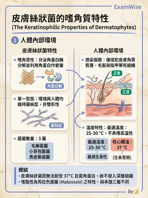 醫檢師 - 皮膚與皮下真菌感染 - AI 圖文解析預覽