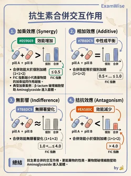 醫檢師 - 抗微生物製劑 - AI 圖文解析預覽