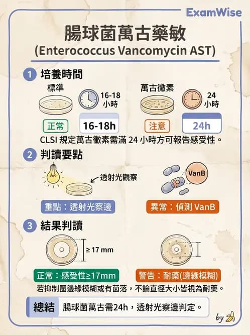 醫檢師 - 藥敏試驗方法 - AI 圖文解析預覽