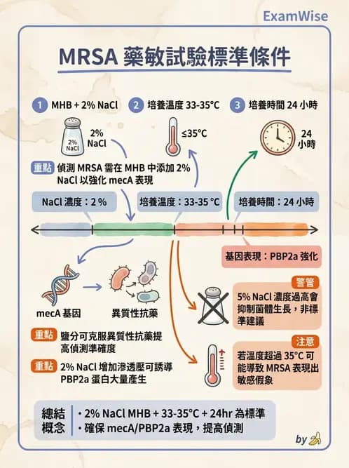 醫檢師 - 藥敏試驗方法 - AI 圖文解析預覽